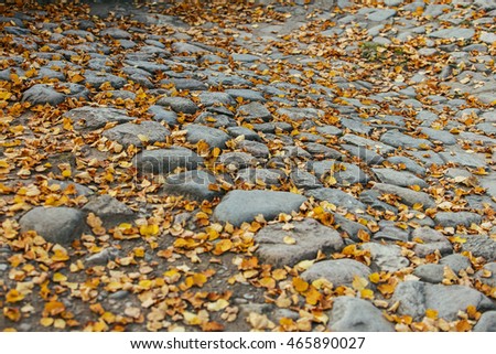 Similar – Image, Stock Photo autumn of spectators