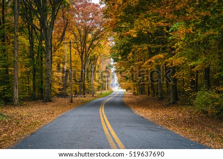 Autumn color along Carmichael Road, near Wye Island, Maryland.