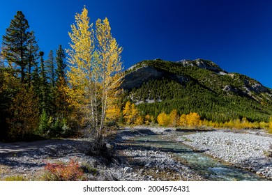 Autumn Color Along The Teton River And Cave Mountain In The Lewis And Clark National Forest, Montana, USA