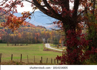 Autumn Color In East Tennessee