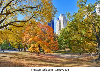 Autumn Color: Fall Foliage In Central Park, Manhattan New York