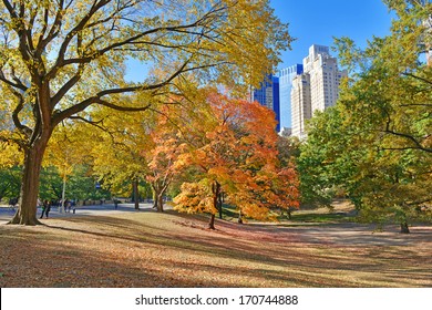 Autumn Color: Fall Foliage In Central Park, Manhattan New York 