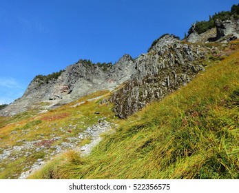 Autumn Colored Grass On The Slope Of A Mountain