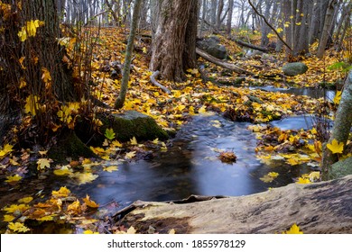 Autumn colored leafs  in the woods next to a small stream with waterfall at Lummelunda on the island of Gotland, Sweden - Shutterstock ID 1855978129