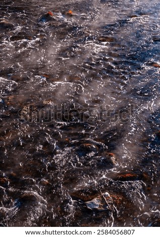 Similar – Image, Stock Photo Autumn colored leaves floating in dark water