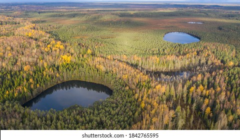 Autumn colored scenic post glacial wilderness landscape with hills, drumlins and lakes on the peat-land and woodland environment in Northern Estonia - Shutterstock ID 1842765595