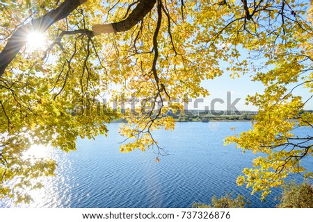 Image, Stock Photo #A# Green Idyll