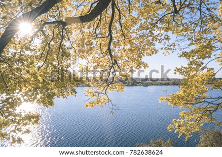 Similar – Image, Stock Photo #A# Green Idyll