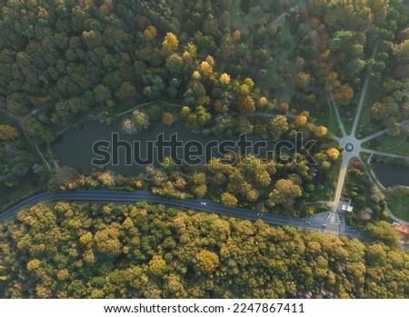 Autumn Colorful in the Ataturk Arboretum Drone Photo, Bahçeköy Sariyer, Istanbul Turkey