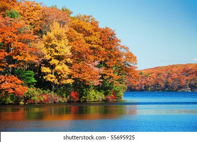 Autumn colorful foliage over lake with beautiful woods in red and yellow color. - Powered by Shutterstock