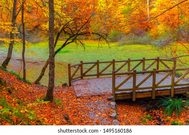 Autumn. Colorful leaves falling from trees. Wooden bridge. Amazing landscape. Yedigoller National Park. Istanbul, Bolu, Turkey.