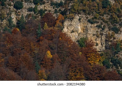 Árboles coloridos otoñales en las montañas catalanas
