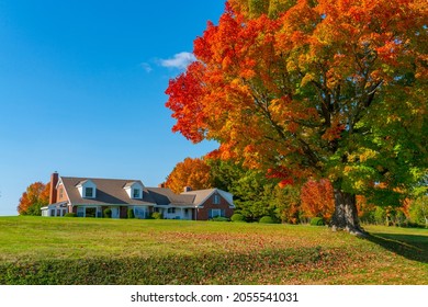 Autumn Colorful Trees And In The Front Yard Of House