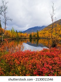 Autumn Colorful Tundra On The Background Mountain Peaks In Cloudy Weather. Mountain Landscape In Kola Peninsula, Arctic, Khibiny Mountains. Photo