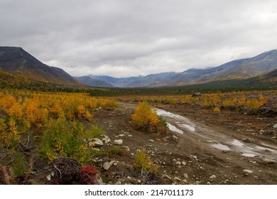 Autumn Colorful Tundra On The Background Mountain Peaks In Cloudy Weather. Mountain Landscape In Kola Peninsula, Arctic, Khibiny Mountains. Photo