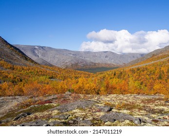 Autumn Colorful Tundra On The Background Mountain Peaks In Cloudy Weather. Mountain Landscape In Kola Peninsula, Arctic, Khibiny Mountains. Photo