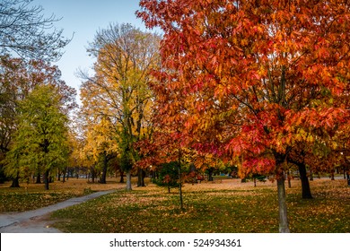 Autumn Colorful Vegetation Of Queens Park - Toronto, Ontario, Canada