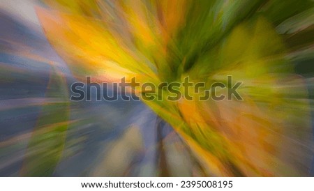 Similar – Image, Stock Photo autumn Nature Plant Autumn