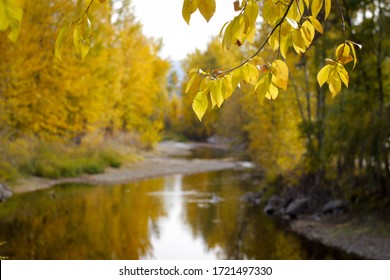 Autumn colors along a flowing river