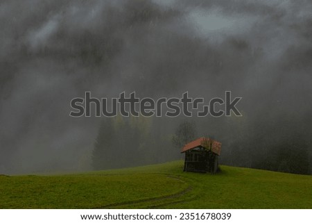 Foto Bild Die Hütte Wiese