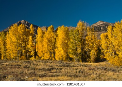 Autumn Colors Boulder Mountains Sawtooth National Stock Photo (Edit Now ...