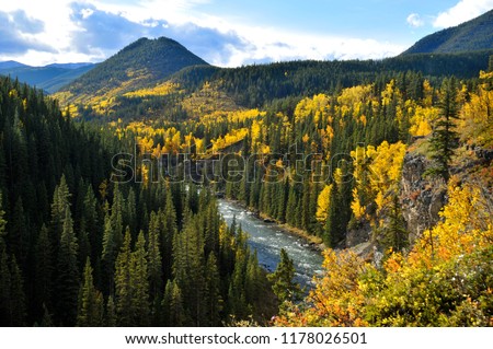 The Autumn colors in the Canadian Rockies in lakes, rivers, valleys, waterfalls and surrounding mountains. A group of horse riders enjoying a day out on a sunny autumn day along aspen grove. 