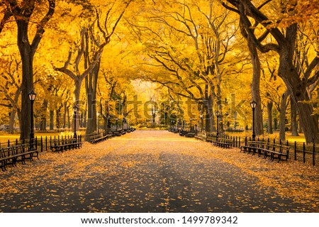 Autumn colors at Central Park in New York City, USA