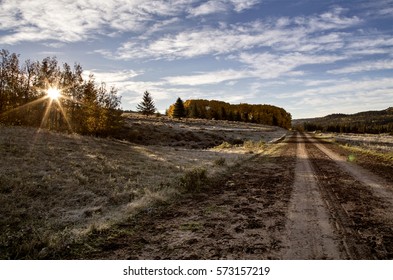 Autumn Colors Cypress Hills Canada Interprovincial Park