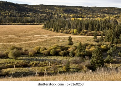 Autumn Colors Cypress Hills Canada Interprovincial Park