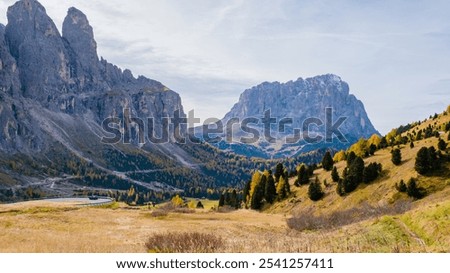 Similar – Image, Stock Photo Italy, freshly unfolded