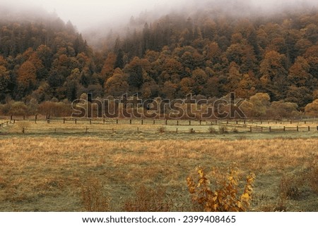 Autumn colors. Fenced area. Wooden fence. Forest in October and November. Late autumn. Colorful landscape. The beauty of nature. A stable for horses in the countryside.