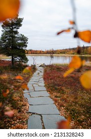 Autumn Colors In Finnish Lapland