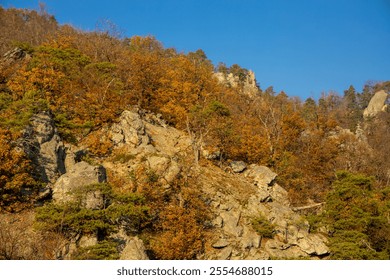 Autumn colors in the forest with cliffs. Yellow and orange tree leaves in autumn in Wachau valley, Austria. Sunny autumn day seasonal changes of the nature - Powered by Shutterstock