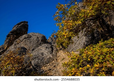 Autumn colors in the forest with cliffs. Yellow and orange tree leaves in autumn in Wachau valley, Austria. Sunny autumn day seasonal changes of the nature - Powered by Shutterstock