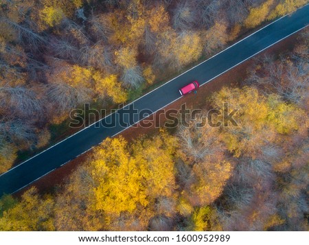 Autumn colors in a forest. In the picture we can see a car in the middle of a colorful forest. 