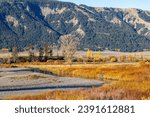 Autumn colors in Lamar Valley over the Lamar River in Yellowstone National park