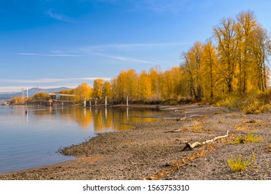 Autumn Colors In A Landscape With Mt. Hood Oregon State.