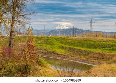 Autumn Colors In A Landscape With Mt. Hood Oregon State.