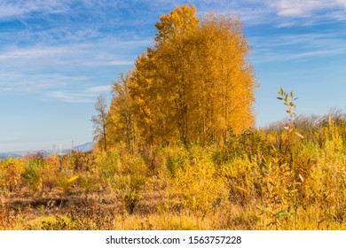 Autumn Colors In A Landscape Oregon State.