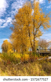 Autumn Colors In A Landscape With Oregon State.