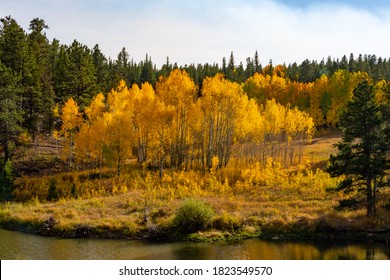 Autumn Colors In Northern Colorado