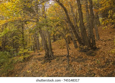 Mt Etna Sicily Images, Stock Photos & Vectors | Shutterstock