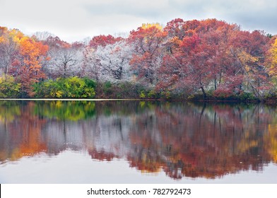 Autumn Colors On Frosty Trees And Reflections On Pond In Marthaler Park Of West Saint Paul Minnesota