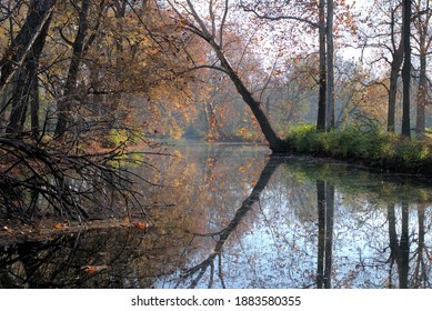 Autumn Colors On The Mad River