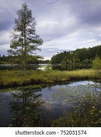 Autumn Colors On The Shoreline Of Little Carr Lake In Northern Wisconsin.  Northern Highlands American Legion State Park.