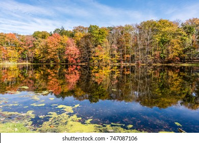 Autumn Colors On A Small Lake In The Poconos Of Pennsylvania.