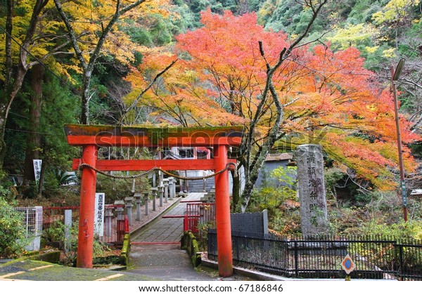 Autumn Colors Osaka Japan Stock Photo (Edit Now) 67186846
