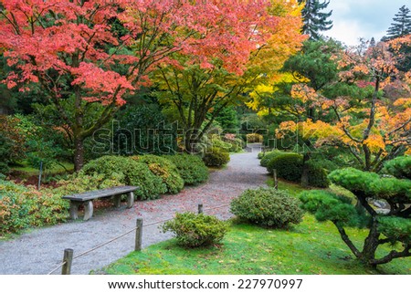 Autumn Colors with Park Bench and Walking Path in Arboretum Garden