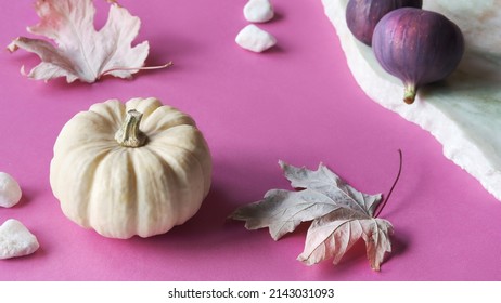 Autumn colors. Purple and magenta fig fruits on vibrant fuchsia and white layered paper. Off white decorative pumpkins, autumn maple leaves. Monochromatic Fall seasonal arrangement.