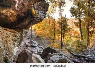 Autumn colors shine along a trail in Arkansas